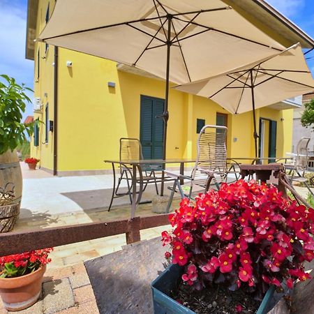 La Casa Del Vino - B&B Tollo Eksteriør billede