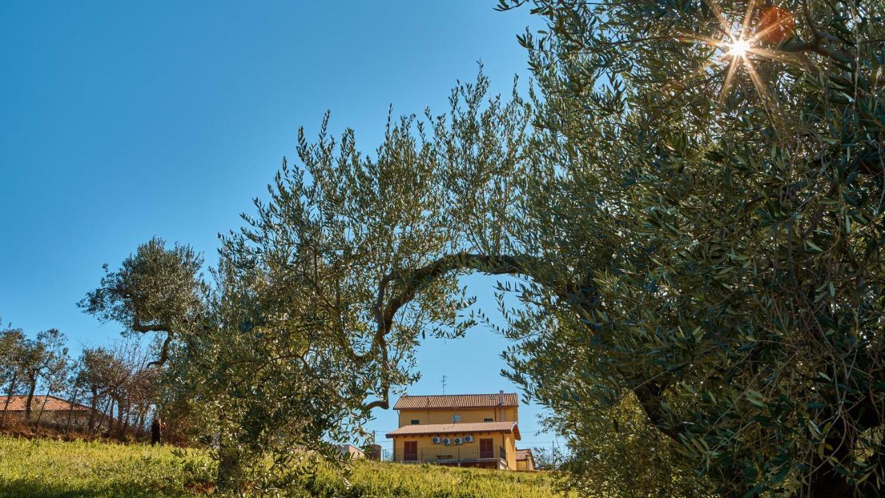 La Casa Del Vino - B&B Tollo Eksteriør billede