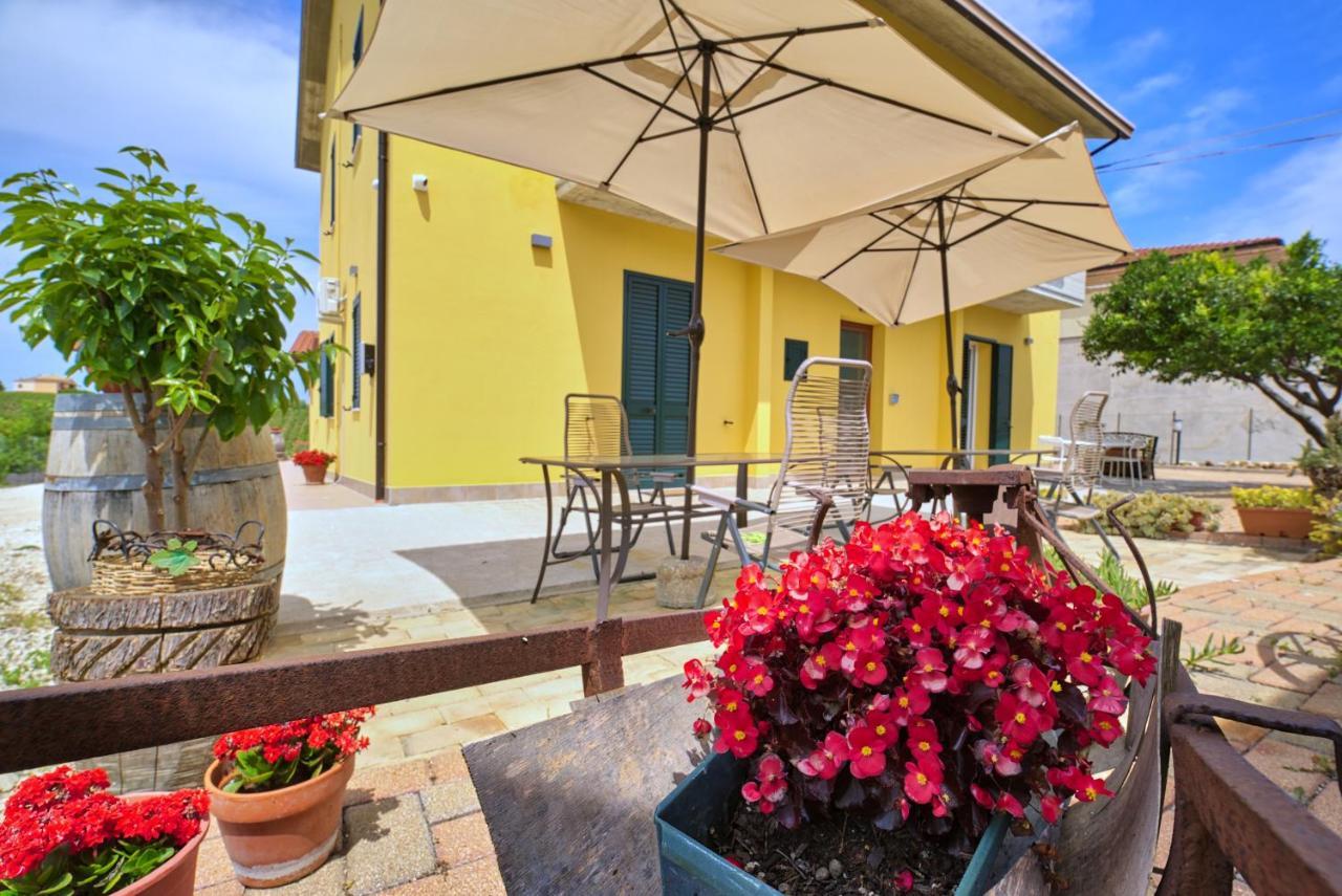 La Casa Del Vino - B&B Tollo Eksteriør billede